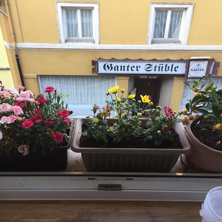 Homestay Waldshut-Tiengen Exterior foto