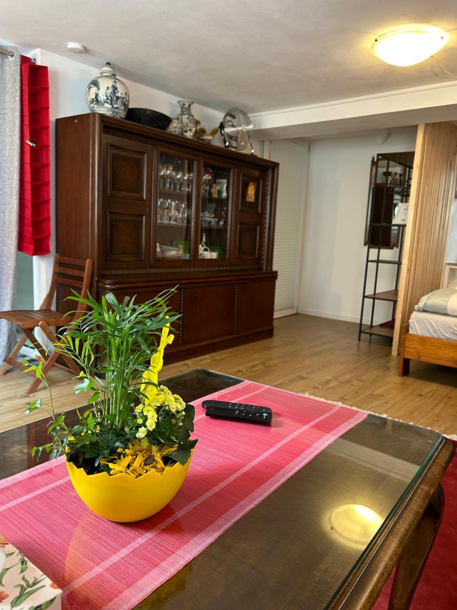 Homestay Waldshut-Tiengen Exterior foto